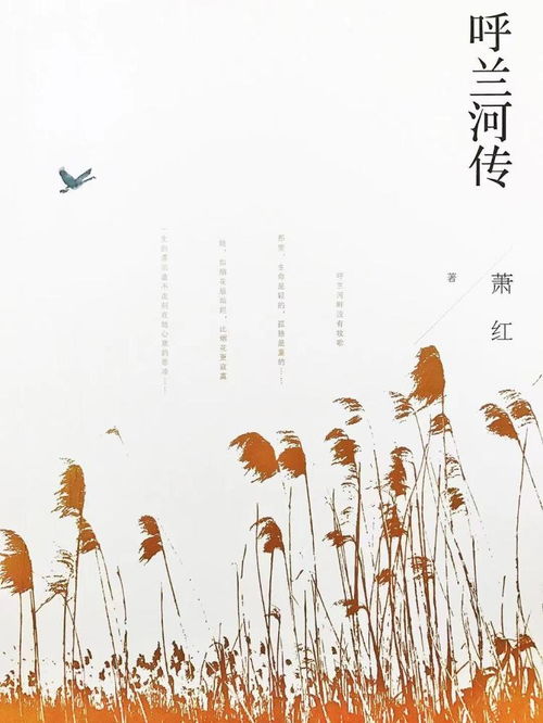 野草與星光 蕭紅誕辰110周年，文學(xué)書(shū)寫(xiě)與生命成長(zhǎng)的雙重軌跡